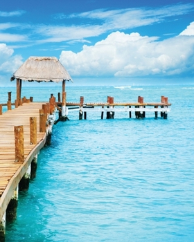 2020 Isla Mujeres Paradise Planner: Beautiful Playa Norte Mia Pier Cover 1 Year Weekly Planner,  8x10 Work, Travel, School, Home Organizer.  Daily ... Idea! (Paradise Lifestyle Organizer Series)