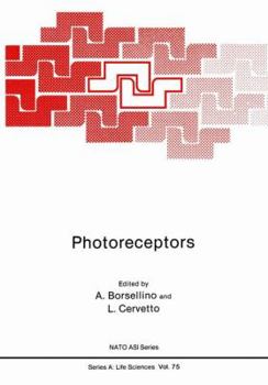 Paperback Photoreceptors Book