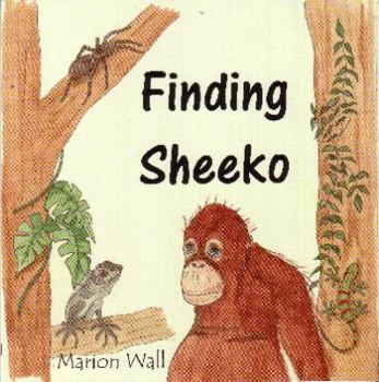 Paperback Finding Sheeko Book