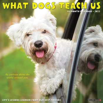 Calendar What Dogs Teach Us 2022 Wall Calendar Book