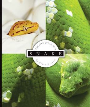 Library Binding The Life Cycle of a Snake Book