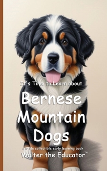 Paperback It's Time to Learn about Bernese Mountain Dogs Book