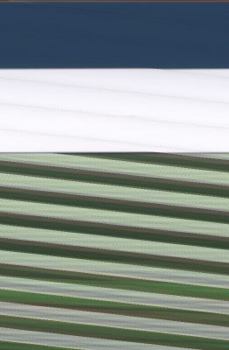 Paperback Reflections in the Wake Book