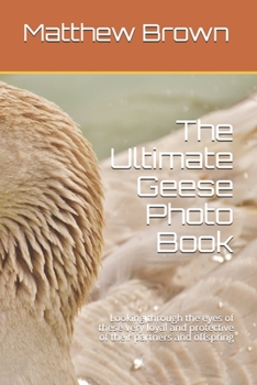 Paperback The Ultimate Geese Photo Book: Looking through the eyes of these very loyal and protective of their partners and offspring Book