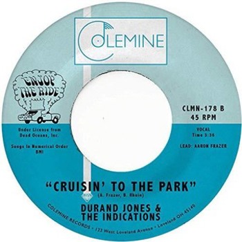 Vinyl Morning In America/Cruisin' To The Park Book