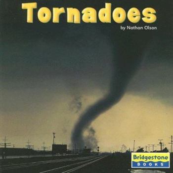 Paperback Tornadoes Book