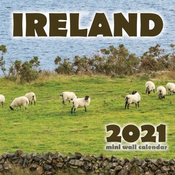 Paperback Ireland 2021 Wall Calendar Book