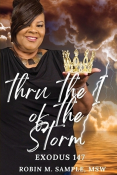 Paperback thru the I of the storm Book