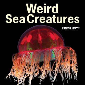 Hardcover Weird Sea Creatures Book