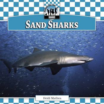 Sand Sharks - Book  of the Checkerboard Animal Library: Sharks Set I