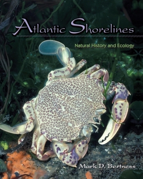 Paperback Atlantic Shorelines: Natural History and Ecology Book