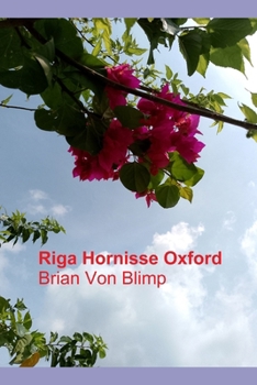 Riga Hornisse Oxford