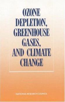 Paperback Ozone Depletion, Greenhouse Gases, and Climate Change Book