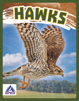 Paperback Hawks Book