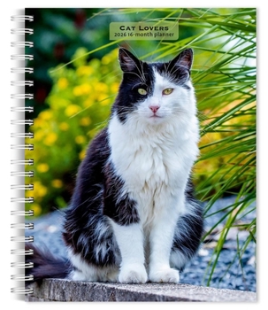Home Cat Lovers 2026 6 X 7.75 Inch Spiral-Bound Wire-O Weekly Engagement Planner Calendar New Full-Color Image Every Week Book