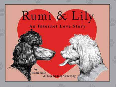 Paperback Rumi & Lily: An Internet Love Story Book