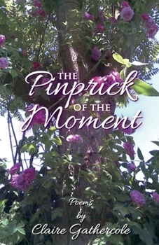 The Pinprick of the Moment