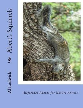 Paperback Abert's Squirrels: Reference Photos for Nature Artists Book