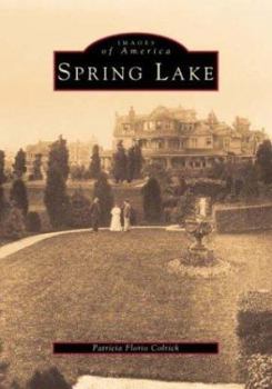 Paperback Spring Lake Book