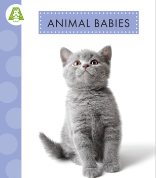 Hardcover Animal Babies Book