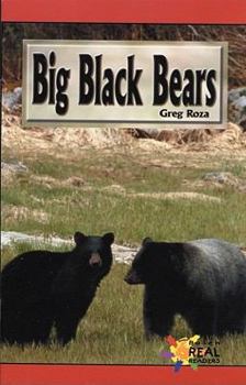 Paperback Big Black Bears Book