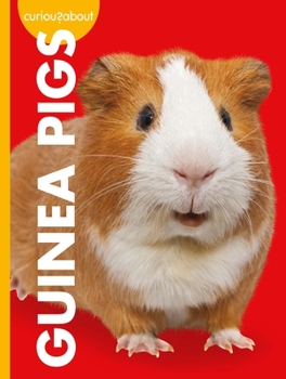 Library Binding Curious about Guinea Pigs Book