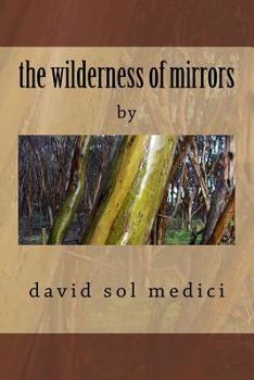 Paperback The wilderness of mirrors: na Book