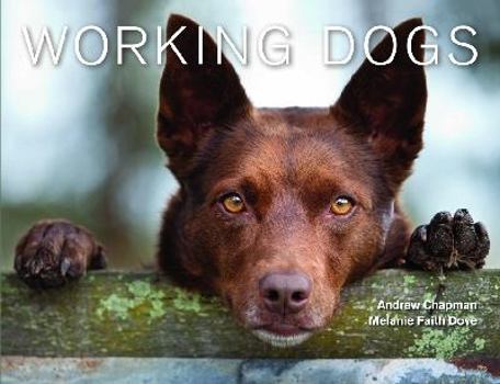 Hardcover Working Dogs Book