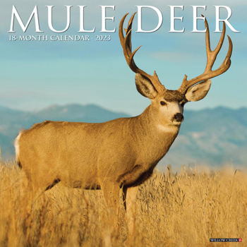 Calendar Mule Deer 2023 Wall Calendar Book