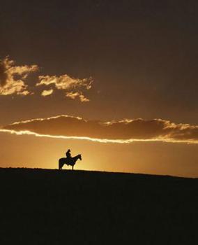 Paperback Horse Photo School Composition Book Equine Breathtaking Cowboy Sunset: Horse Photo Equine Covers Composition Books Notebooks (Notebook, Diary, Blank B Book