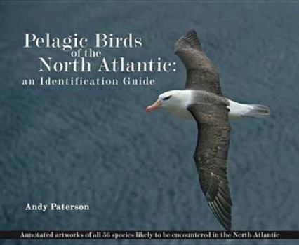 Paperback Pelagic Birds of the North Atlantic Book