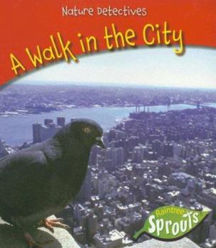 Paperback A Walk in the City Book