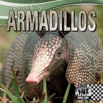Armadillos - Book  of the Animal Icons