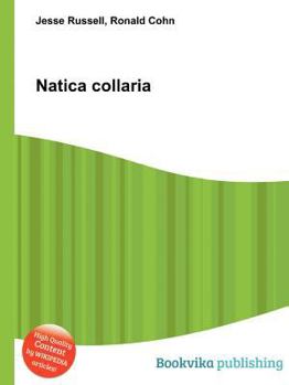 Paperback Natica Collaria Book
