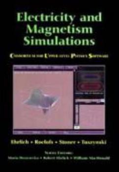 Paperback Electricity and Magnetism Simulations Book