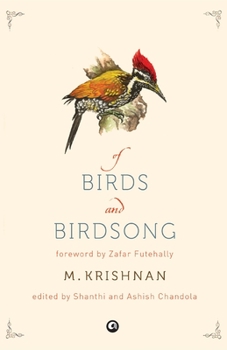 Paperback Of Birds And Birdsong Book