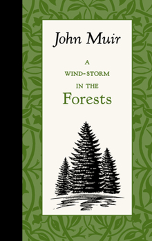 Hardcover A Wind-Storm in the Forests Book