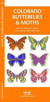 Colorado Butterflies & Moths: A Folding Pocket Guide to Familiar Species