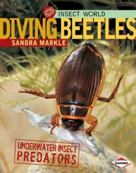 Library Binding Diving Beetles: Underwater Insect Predators Book