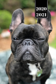 French Bulldog Dog Calendar Week Planner 2020 / 2021 - Little Eyes: Pup Puppy Doggie Pet Owner Weekly Bullet Journal Notebook Diary in 6” x 9” Inch Pocket Size