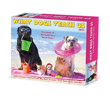 Calendar What Dogs Teach Us 2022 Box Calendar, Daily Desktop Book