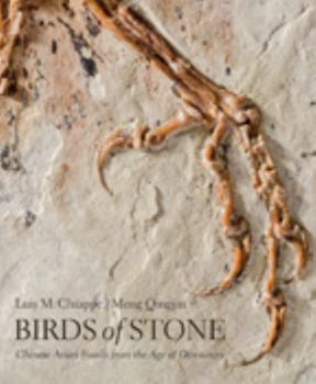 Hardcover Birds of Stone: Chinese Avian Fossils from the Age of Dinosaurs Book