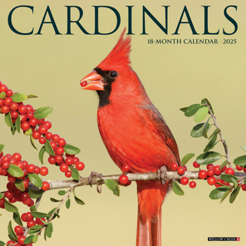 Calendar Cardinals 2025 12 X 12 Wall Calendar Book