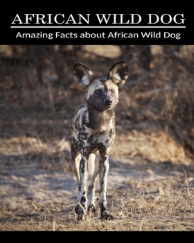 Amazing Facts about African Wild Dog