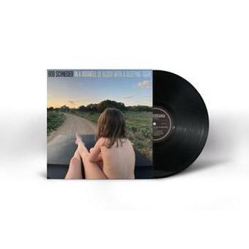 Vinyl In A Roomful Of Blood With A Sleeping Ti Book