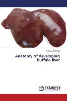 Paperback Anatomy of Developing Buffalo Liver Book
