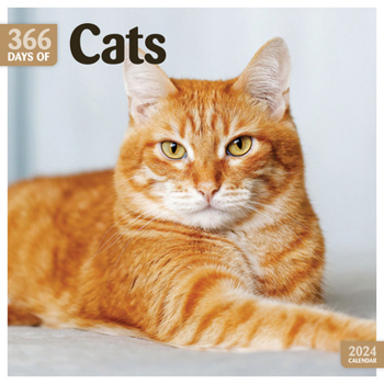 Calendar 2024 Cats 365 Days Wall Calendar Book