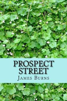Paperback Prospect Street Book