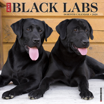 Calendar Just Black Labs 2020 Wall Calendar (Dog Breed Calendar) Book