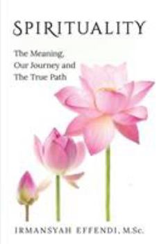 Paperback Spirituality: The Meaning, Our Journey and the True Path Book